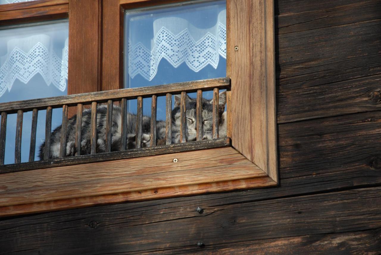 Ferienhaeuser Paunger Miesenbach  Exteriör bild